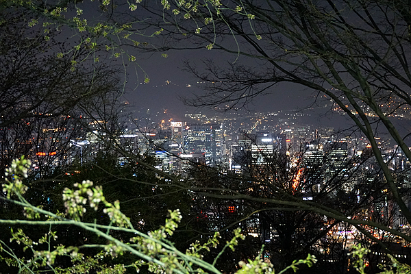 서울 및 서울 근교 추천 실내 나들이 장소 리스트 관련 이미지 - Seoul city skyline at night from Namsan Mountain (49175035266)