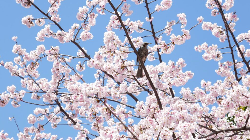 빌보드 핫 100 1위 곡은 기록과 순위에 남나요 남는 범위를 나눠서 보기 대표 이미지